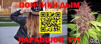 МДПВ Моздок